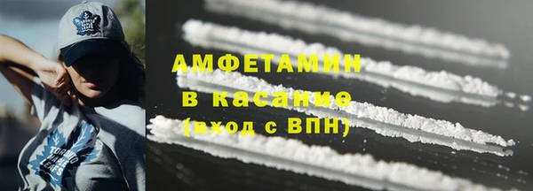шишки Абаза