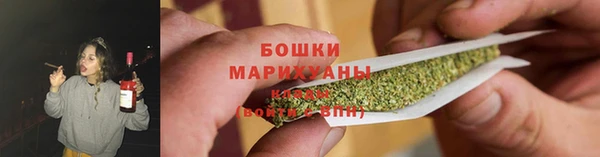 шишки Абаза