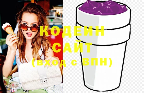 шишки Абаза