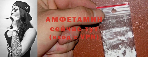 шишки Абаза