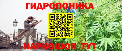 стафф Канаш