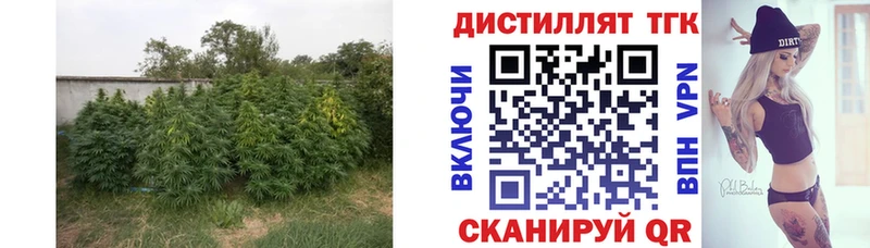 ТГК жижа  блэк спрут ССЫЛКА  Чебаркуль 