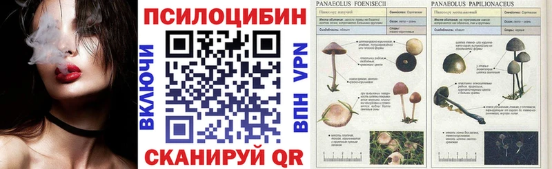 Галлюциногенные грибы мухоморы  Чебаркуль 