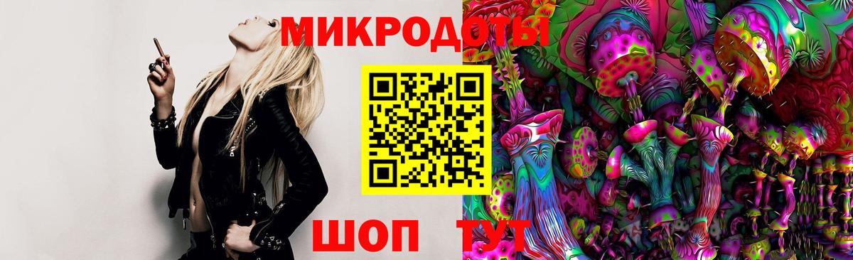 Псилоцибиновые грибы мицелий Чебаркуль